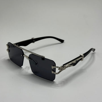 Don Vizio Glasses Shades